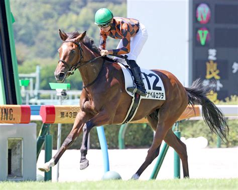 【小倉5r・2歳新馬】キタサンブラック産駒アナベルエクラが快勝 父管理の清水久師「身のこなしの柔らかさが似ている」 ライブドアニュース