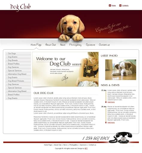 15 Best Free Animal And Pets Templates