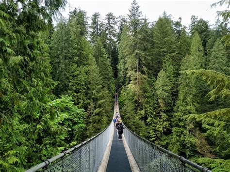 Capilano Suspension Bridge - Explore Vancouver