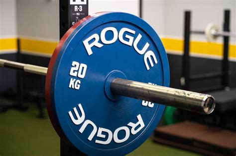 Rogue Calibrated Steel Powerlifting Plates Review Garage Gym Reviews