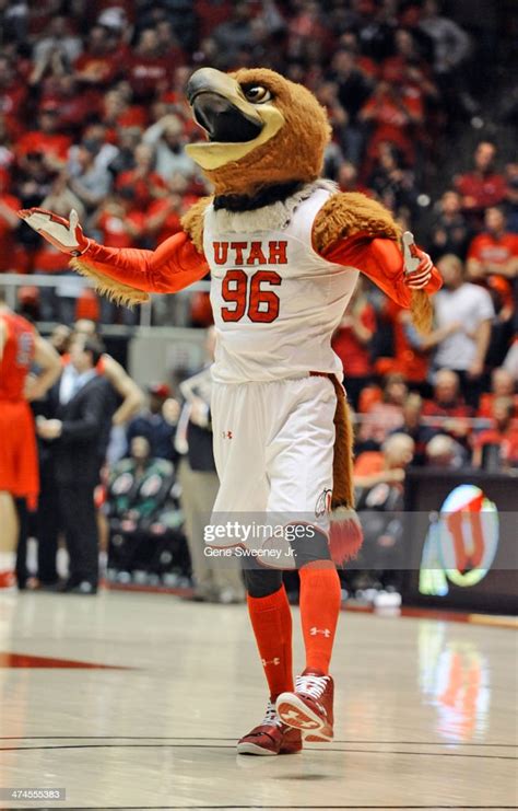 The Utah Utes mascot "Swoop" performs during their game against the ...