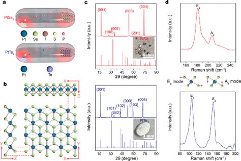 Synthesis Of Ptse Ptte Crystals Through Cvt Method A Schematic