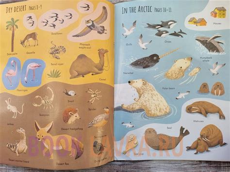 First Sticker Book Planet Earth купить в интернет магазине Booklavka