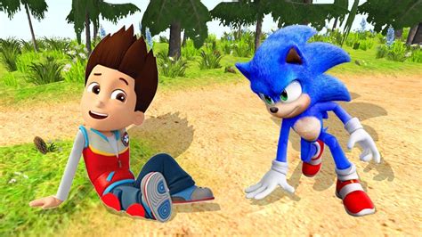 Who Runs Faster Sonicdash Sonic The Hedgehog Vs Paw Patrol Subway D