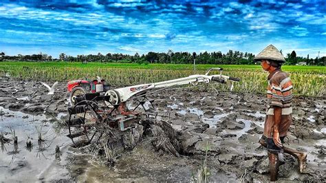 Pemula Joki Traktor Sawah Quick Zeva G Pertama Kali Terjun Ke