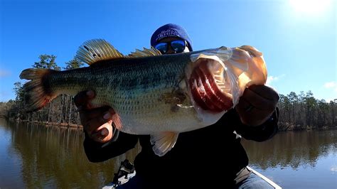 The Biggest Bass I Ve Ever Caught While Crappie Fishing Youtube