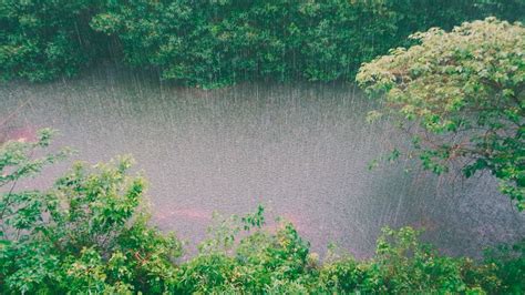 Ya Comenzó La Temporada De Lluvias Y Este Año Será Más Activa