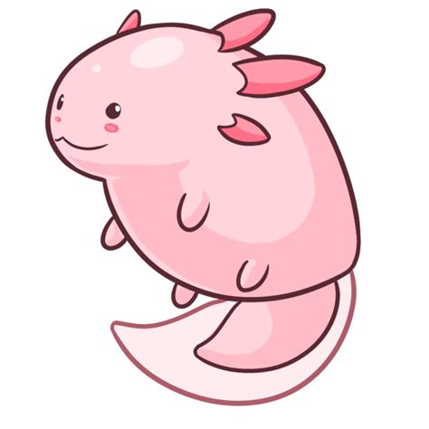 Axolotl Salamander Drawing Cartoon Png Clipart Amphibian Animals Images