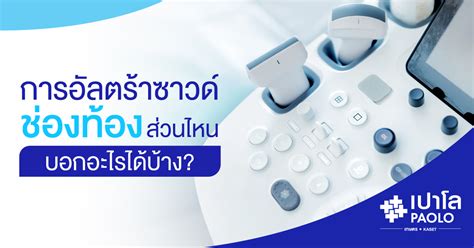 Understanding Abdominal Ultrasound Upper Vs Lower Examination World