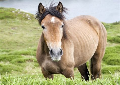 Connemara Travel Guide - Discover the best time to go, places to visit and things to do in ...