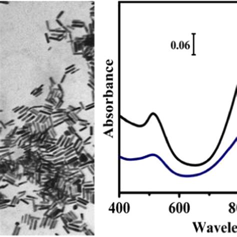 A Tem Micrograph Of Gnrs B Absorption Spectroscopy Of A Gnrs And