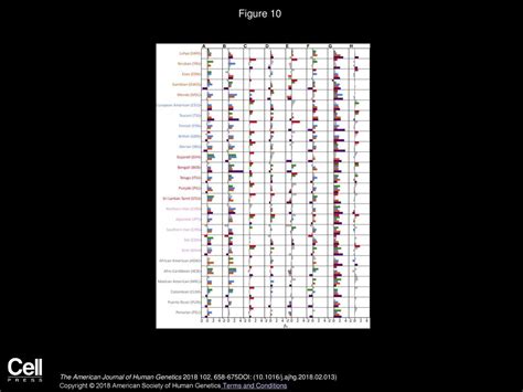 Relationship Between Deleterious Variation Genomic Autozygosity And