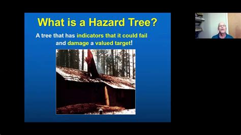 Part 1 Identifying Assessing And Managing Hazard Trees Youtube