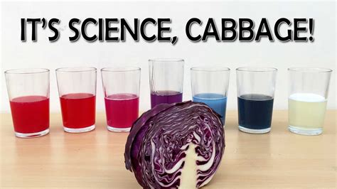 cabbage juice indicator