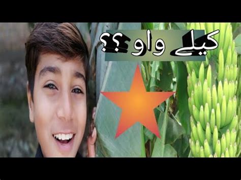 Saraiki Rang Official Vlog Youtube