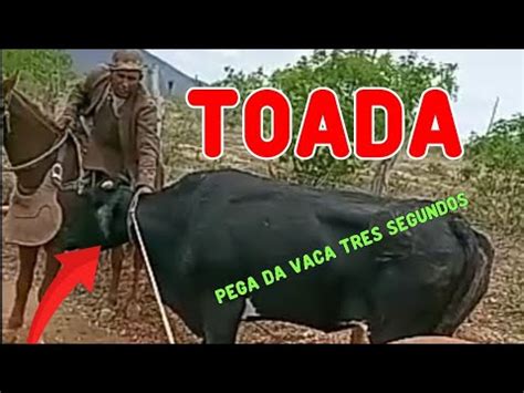 Toada Da Pega Da Vaca Tr S Segundo Cantada Por Matheus Youtube