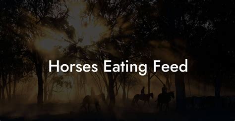 Horses Eating Feed How To Own A Horse