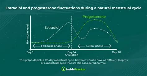 How To Interpret Your Estradiol Blood Test Results Unlocking Insights