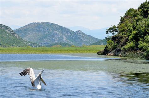 Lake Skadar National Park: 13 Best Things to Do (Local's Guide)