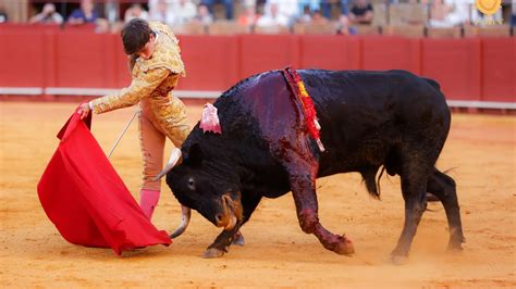 El novillero aragonés Aarón Palacio causa sensación en La Maestranza de