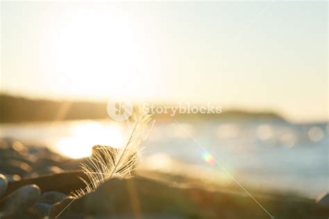 Nature scene at sunset Royalty-Free Stock Image - Storyblocks