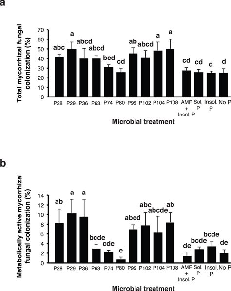 Mean Percentage Of Potato Root Length Colonized By Arbuscular