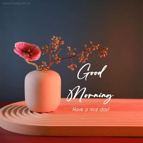 Good Morning My Life Sunday Morning Wishes Latest Good Morning Images