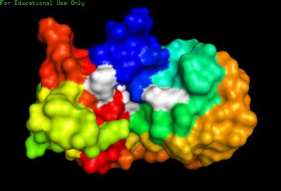 RNase A NMR Proteopedia Life In 3D