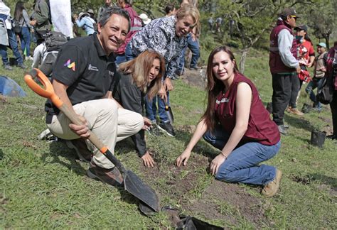 Realizan Jornada De Reforestaci N En La Sierra De Guadalupe Capital