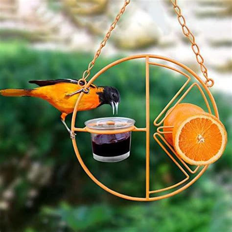 Bird Feeder For Outdoors Jelly And Oranges Orange Fruit Oriole Double