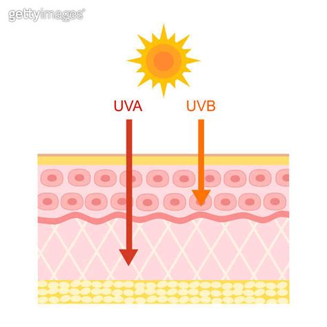 The Difference Of Radiation Types In Sunlight Which Is Harmful To The