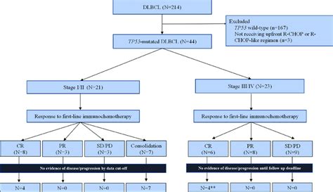 Patient Disposition And Response To Frontline Treatment And Survival