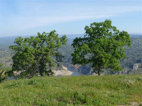 Hiking from Sky Harbor along Millerton Lake | Sierra News Online