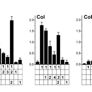 Effects of Leucine Zipper Mutations on the Efficiencies of Fluorescence ...