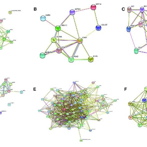 Protein Protein Interaction Networks Protein Protein Interactions Of