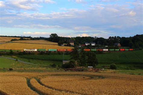 SETG Beethoven Werbevectron 193 218 mit Containerzug glänzst das Gold