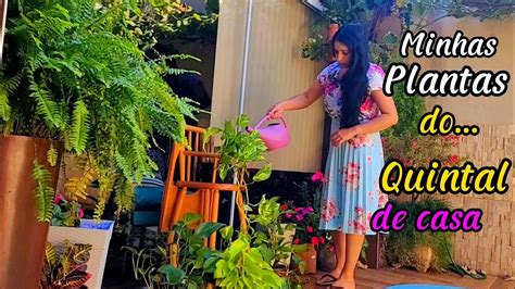 Minha Rotina Com As Minhas Plantas Do Quintal Tour Plantas De Casa 🪴🌿🌸🏠💕 Youtube