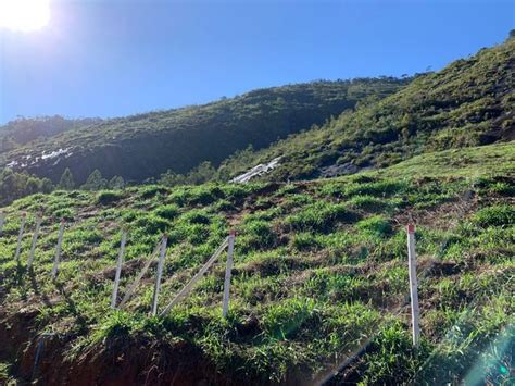 Sítio Recanto do Vale Lindo Terrenos sítios e fazendas Santa