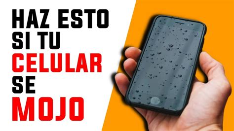 Mi celular se cayó al agua Cómo rescatarlo y solucionar el problema