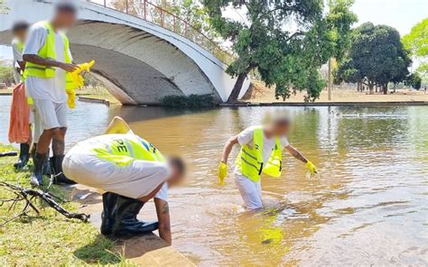 Opera O Recolhe Mais De Uma Tonelada De Lixo No Parque Da Cidade