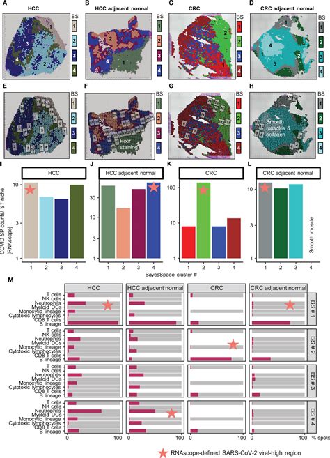 Frontiers Case Report Understanding The Impact Of Persistent Tissue