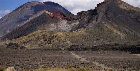 The 4 Mythical Hiking Trails of the North Island, New Zealand