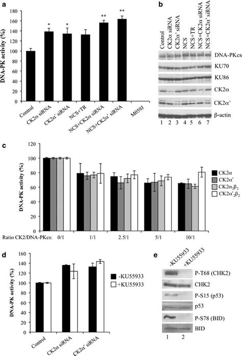 Positive Modulation Of Dna Pkcs Activity Following Ck2 Downregulation