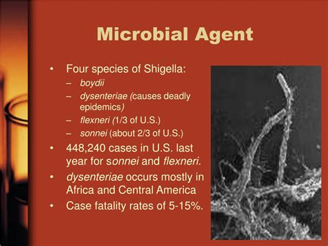 Ppt Shigellosis Powerpoint Presentation Free Download Id1019191