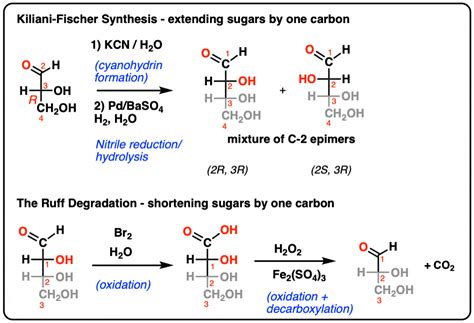 The Ruff Degradation And The Kiliani Fischer Synthesis