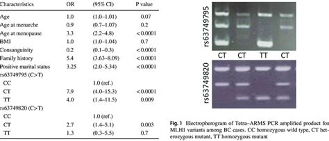 Association Between General Characteristics MLH1 Genotyp Ing And BC