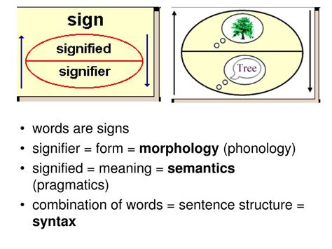 PPT Systemic Linguistics Core Linguistics PowerPoint Presentation