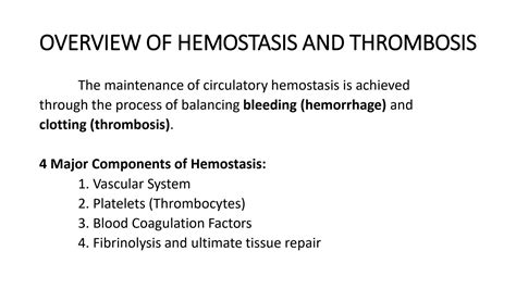 Solution Blood Vasculature Megakaryocytes And Platelets Studypool