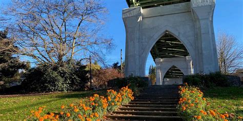 Cathedral Park Nature Patch Planting | Portland.gov