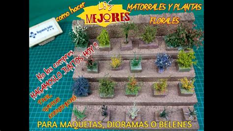 Como Hacer Los Mejores Matorrales Y Plantas Florales Para Tus Maquetas